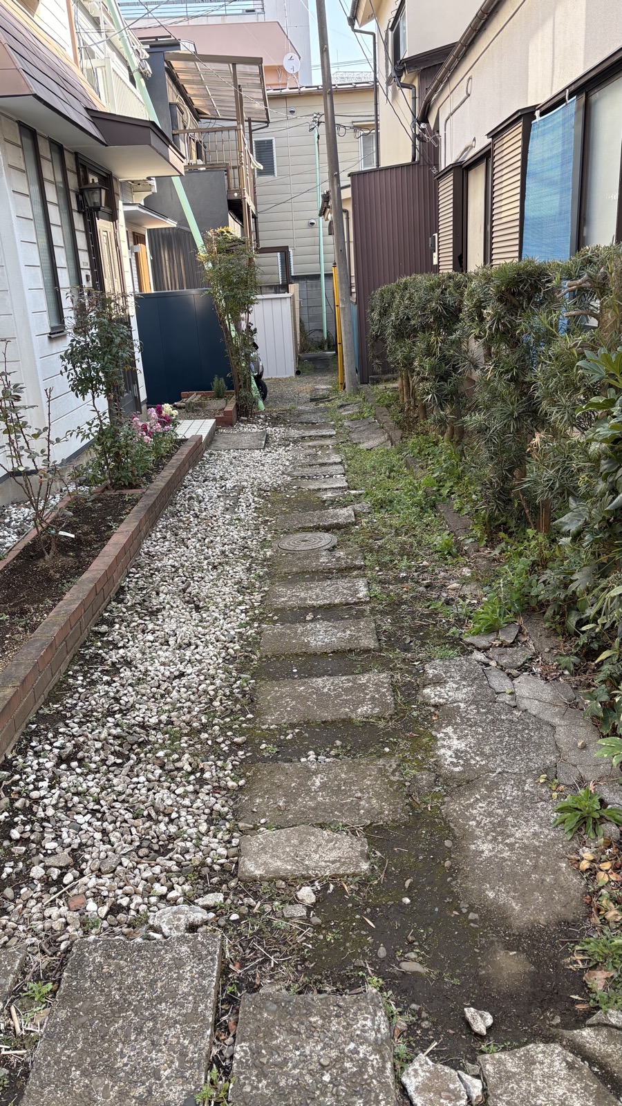 The path after clearing — ready for new tiles